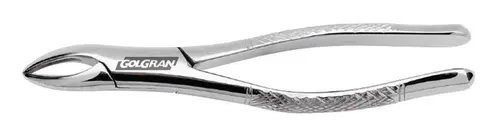 FORCEPS ADULTO 69 GOLGRAN
