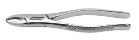 FORCEPS ADULTO 01 GOLGRAN