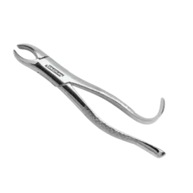 FORCEPS ADULTO 18L GOLGRAN