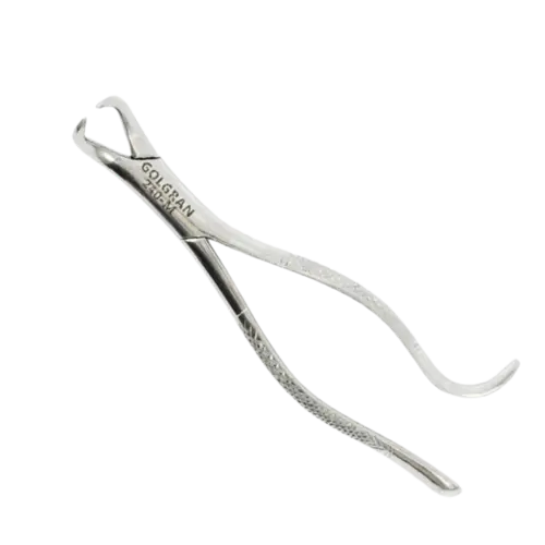FORCEPS ADULTO Nº16 - 6B INVENT