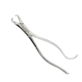 FORCEPS ADULTO Nº16 - 6B INVENT