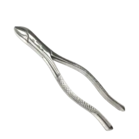 FORCEPS ADULTO N° 101 - 6B INVENT