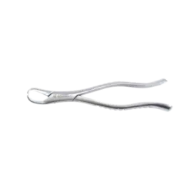 FORCEPS ADULTO N° 23 - 6B INVENT