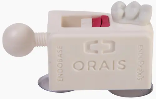 ENDOBASE (6000) - ORAIS