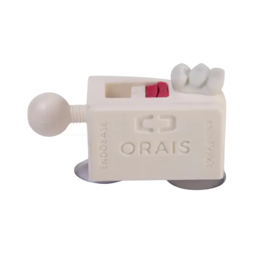 ENDOBASE (6000) - ORAIS