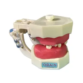 MANEQUIM CIRURGIA ARTICULADO (405) - ORAIS