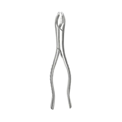 FORCEPS ADULTO Nº17 - 6B INVENT