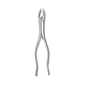 FORCEPS ADULTO Nº17 - 6B INVENT