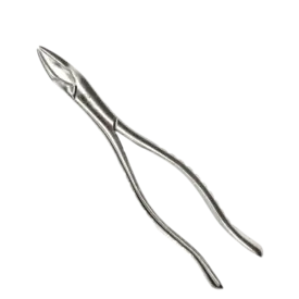 FORCEPS ADULTO Nº69 - 6B INVENT