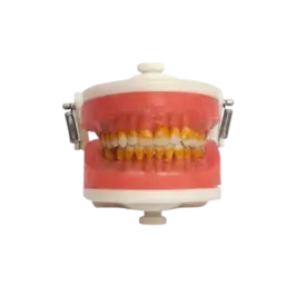 PRONEW TOP - CIRURGIA C/ DENTES DE PERIODONTIA