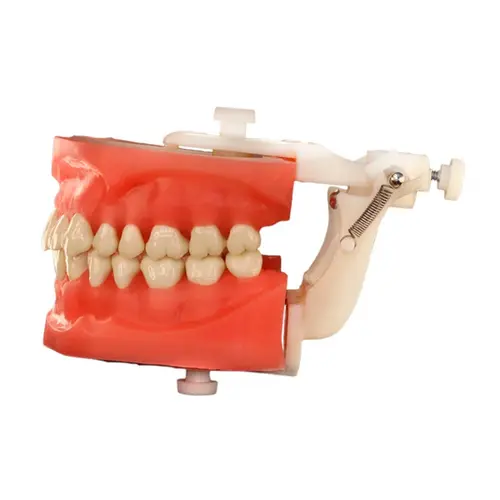 PD 112.1 MANEQUIM TOP MACROMODELO C/ LINGUA PRONEW