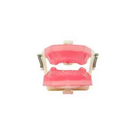 MANEQUIM TOP ENDODONTIA PD107 - PRONEW
