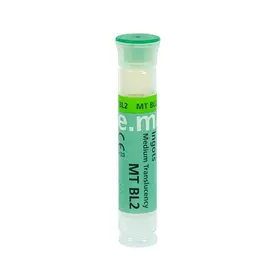 IPS E MAX PRESS MT BL2 COM 5 PECAS - IVOCLAR