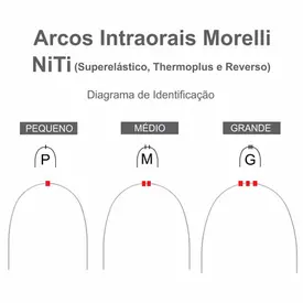 50.80.228 ARCO THERMO-PLUS INFERIOR(P) NITI 0.20 C