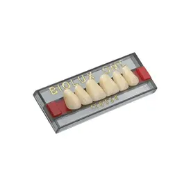 DENTE BIOLUX ANTSUP V17 COR 66