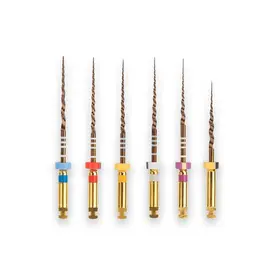 LIMA ROTATORIA PROTAPER GOLD ASS - SX/F3 25MM 6UN DENTSPLY