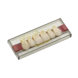 DENTE TRILUX ANTERIOR SUPERIOR - R66 COR 1A - VIPI