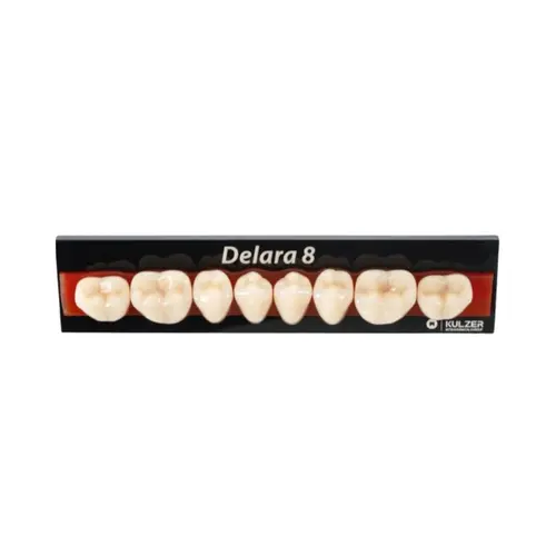 DENTE DELARA POSTERIOR INFERIOR - 30L COR A3 - KULZER