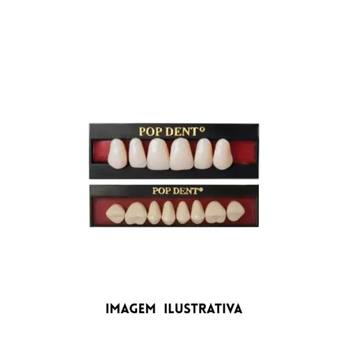 DENTE POP 34L SUP 62 - VIPI