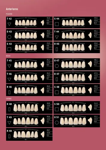 DENTE DELARA ANTERIOR INFERIOR - L36 COR BL2 - KULZER