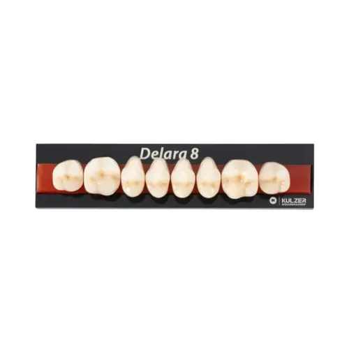 DENTE DELARA 36U SUP BL2 - KULZER