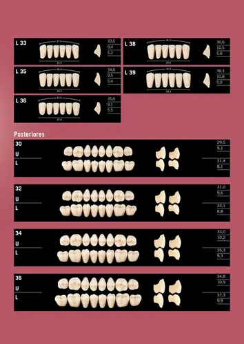 DENTE DELARA 36U SUP BL2 - KULZER