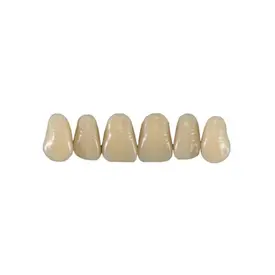 DENTE ACRIDENT SUP T38 60