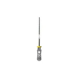 LIMAS W-ENDO KERR 31MM N. 6 - WILCOS
