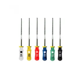 LIMA K FILE 21MM N 45-80 MAILLEFER - DENTSPLY