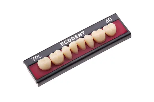 DENTE ECODENT - POST. 32M INF 62 - EVODEN