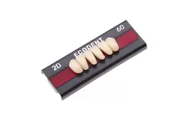 DENTE ECODENT - ANT. 2N INF 66 - EVODEN